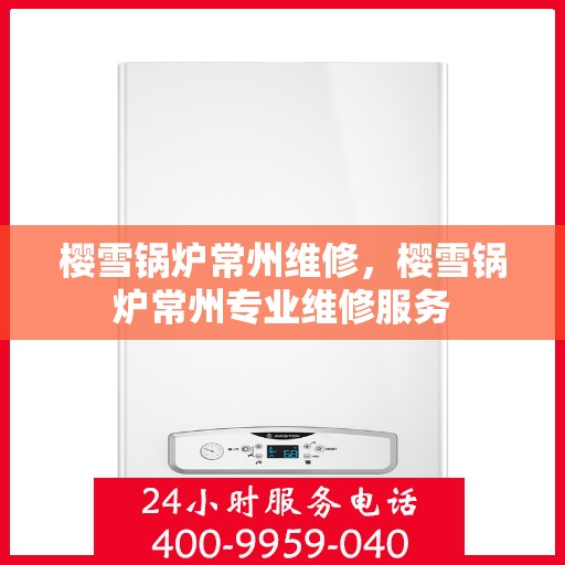 樱雪锅炉常州维修，樱雪锅炉常州专业维修服务