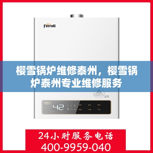 樱雪锅炉维修泰州，樱雪锅炉泰州专业维修服务