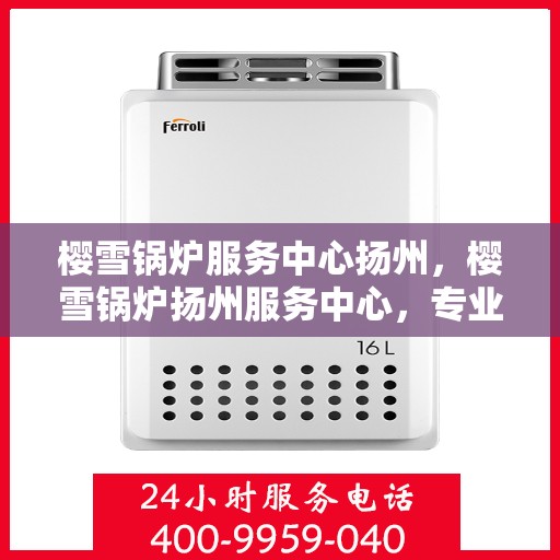 樱雪锅炉服务中心扬州，樱雪锅炉扬州服务中心，专业维修与优质服务的完美结合