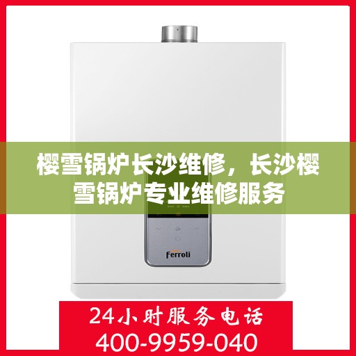 樱雪锅炉长沙维修，长沙樱雪锅炉专业维修服务