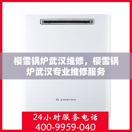 樱雪锅炉武汉维修，樱雪锅炉武汉专业维修服务