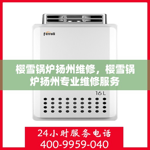 樱雪锅炉扬州维修，樱雪锅炉扬州专业维修服务