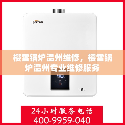 樱雪锅炉温州维修，樱雪锅炉温州专业维修服务