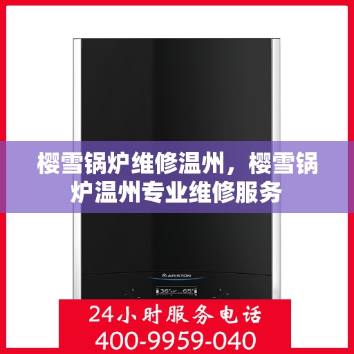 樱雪锅炉维修温州，樱雪锅炉温州专业维修服务