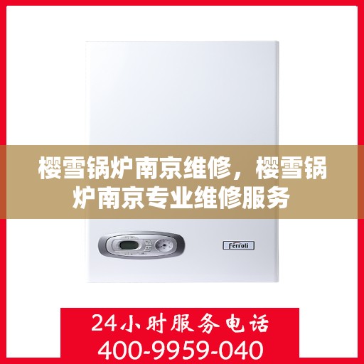 樱雪锅炉南京维修，樱雪锅炉南京专业维修服务
